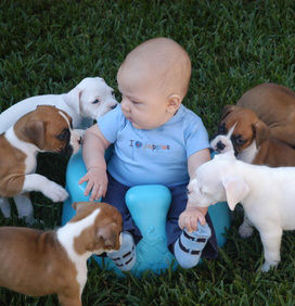 National Dog Day!  (Photo Contest)
