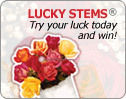 Instant winner! Try your luck today and win!
