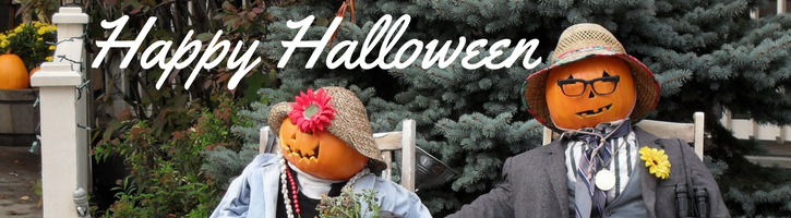 Halloween Flowers & Decorations | Conklyns Florist ...