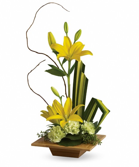 Bamboo Artistry