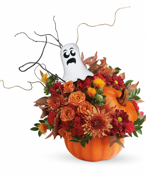 Spooky Surprise