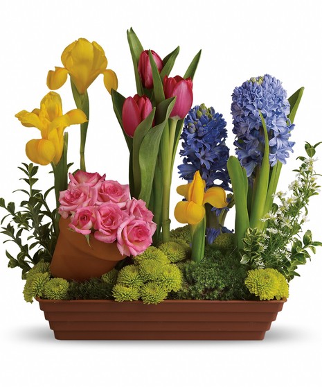 Springtime Favorites