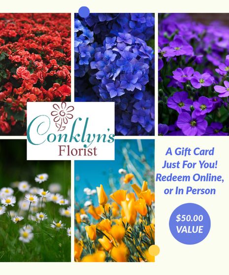 Gift Card  Bold
