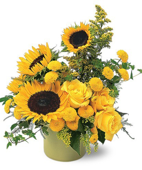A Pot of Sunflowers