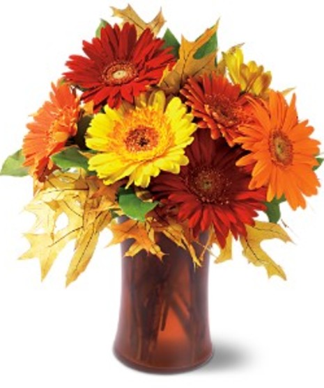 Autumn Gerberas