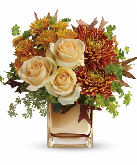 Autumn Romance