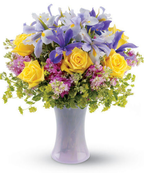 Lavender Sunshine