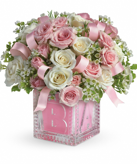 New Baby Girl Gift Box Gift Box in Culpeper, VA - ENDLESS CREATIONS FLOWERS  AND GIFTS