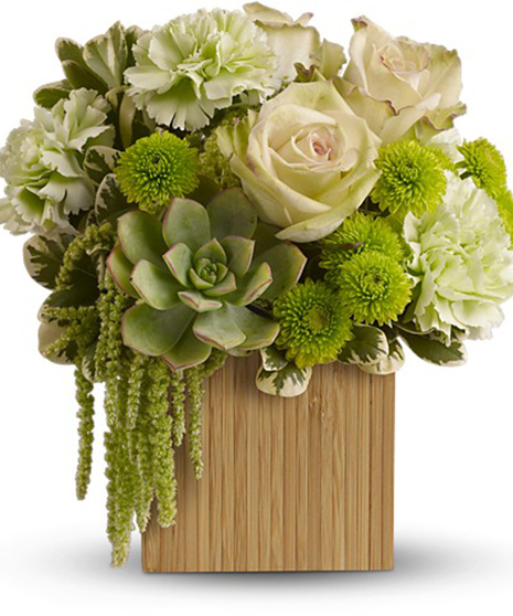 Bamboo Mist