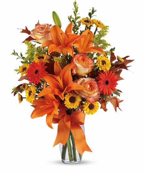 Burst of Autumn