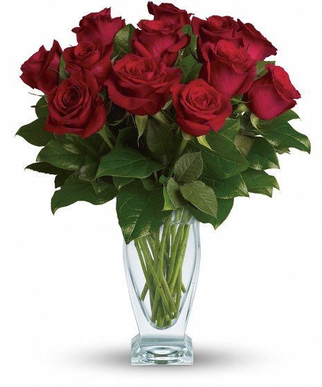 Classic Dozen Roses