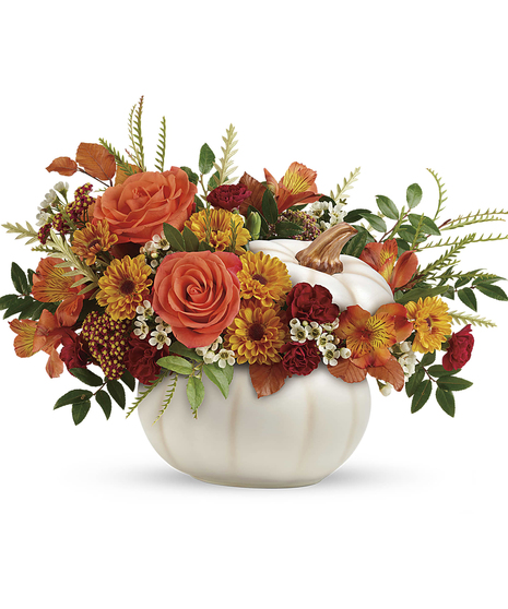 Enchanting Harvest