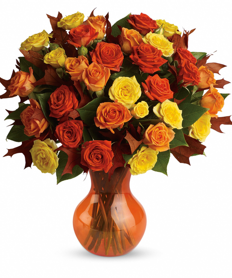 Roses