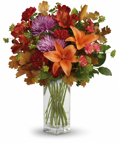 Fall Brights