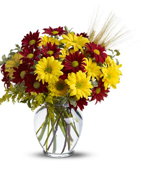 Fall for Daisies