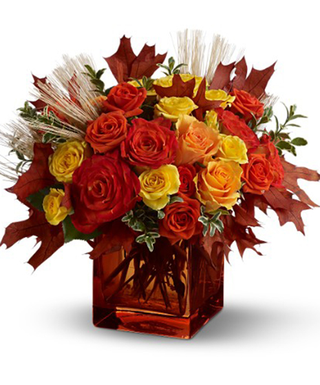 Fine Fall Roses