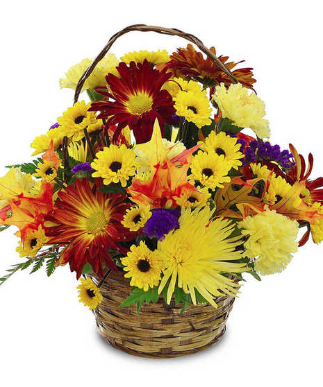 Harvest Basket