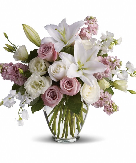 Serene Blooms