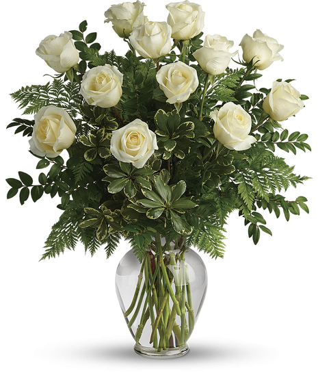 Joy of Roses