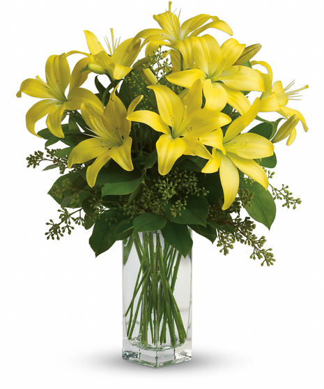 Lily Sunshine