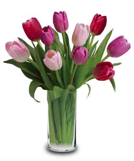Romantic Tulips