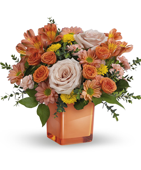 Orange Splendor