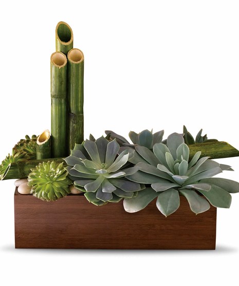Peaceful Zen Garden