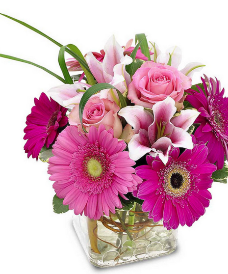 Pretty Pink Petals