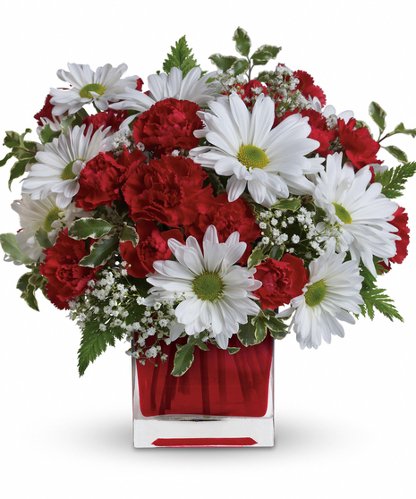 Red and White Delight