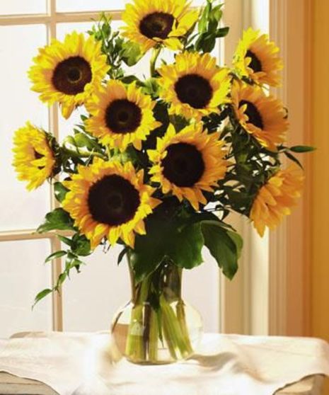 Autumn Sunflowers