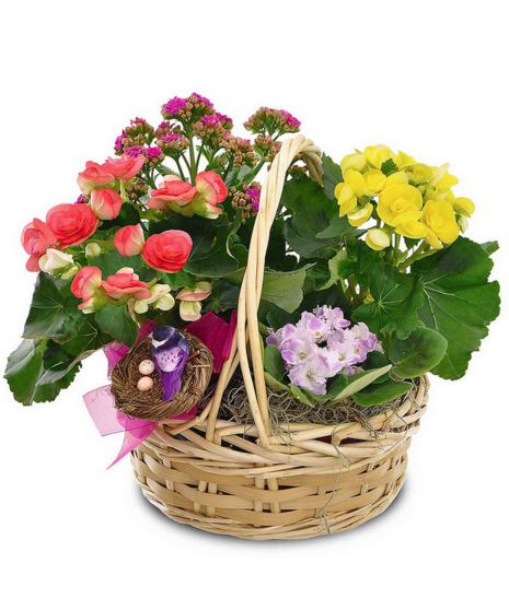 Spring Garden Basket