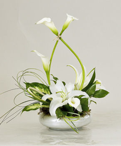 Sculpted Lilies