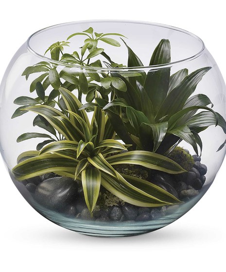 Sphere Of Tranquility