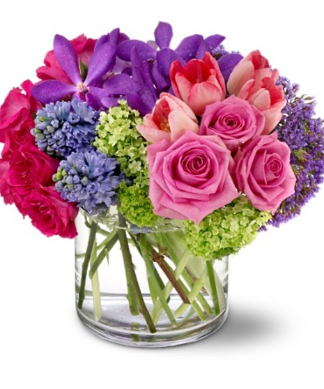Spring Oasis - Conklyn's Flowers