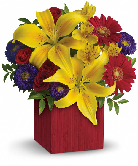 Summer Brights
