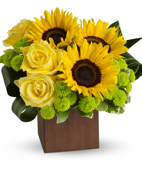 Sunflower Fantasy