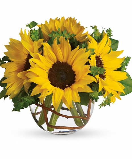 Sunny Sunflowers
