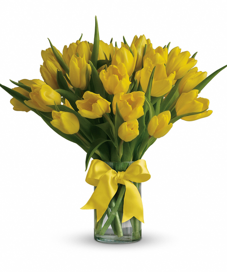 Sunny Yellow Tulips