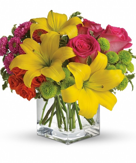 Sun Splash - Conklyn's Flowers