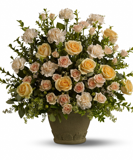 Rose Remembrance
