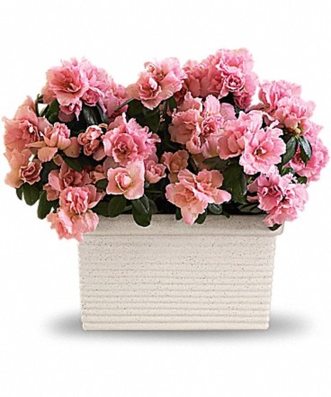 Sweet Delight - Floral Bouquet - Conklyn's Flowers