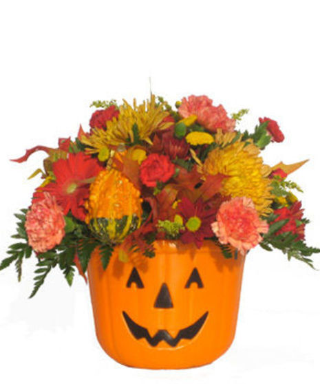 Trick or Treat