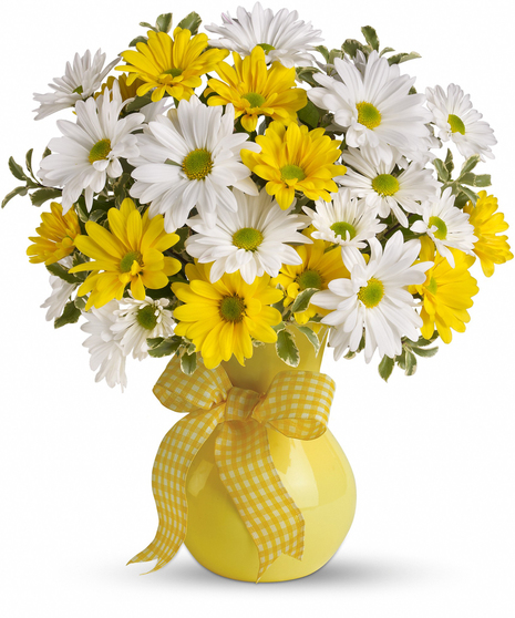 yellow and white daisies in cheerful vase