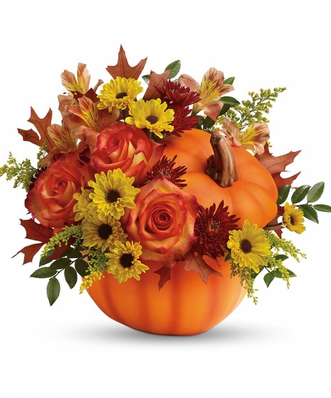 Warm Fall Wishes
