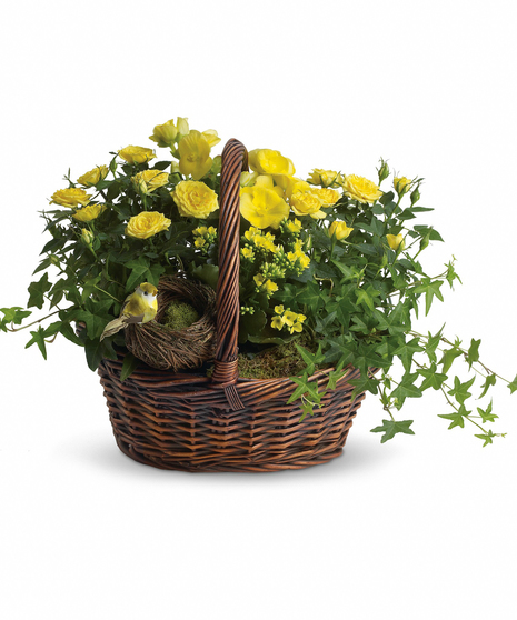 Yellow Trio Basket