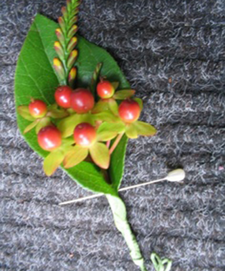 Hypericum Berry Boutonniere